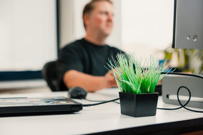 Plantje op het bureau naast de monitor